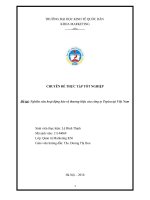 Chuyên đề thực tập: nghiên cứu hoạt động bảo vệ thương hiệu của công ty topica tại việt nam   lê đình thịnh   11144069