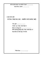 CHUYÊN ĐỀ:  VẤN ĐỀ KHAI THÁC THẾ MẠNH Ở TRUNG DU MIỀN NÚI BẮC BỘ