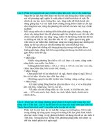 đề cương và đáp án phương pháp dạy học tiếng việt