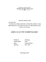 Áp dụng quy trình chăm sóc nuôi dưỡng phòng và trị bệnh cho đàn lợn nuôi tại công ty CP bình minh   huyện mỹ đức, thành phố hà nội 