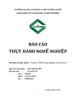 Báo cáo kiến tập công ty TNHH Công Nghiệp Vinapioner