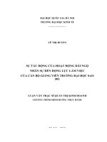 Sự tác động của hoạt động đãi ngộ nhân sự đến động lực làm việc của cán bộ giảng viên trường đại học sao đỏ 