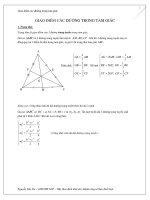 5 trọng tâm,trực tâm, tâm nội,ngoại tiếp 