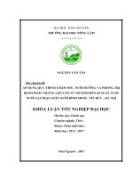 Áp dụng quy trình chăm sóc, nuôi dưỡng và phòng trị bệnh phân trắng lợn con từ sơ sinh đến 60 ngày tuổi nuôi tại trại chăn nuôi bình minh   mỹ đức   hà nội 