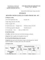 Kim thoa kế hoạch bồi dưỡng cá nhân