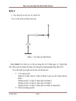 Báo cáo bài tập lớn kỹ thuật robot