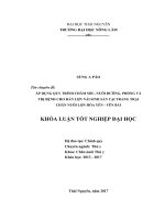 Áp dụng quy trình chăm sóc, nuôi dưỡng, phòng và trị bệnh cho đàn lợn nái sinh sản tại trang trại chăn nuôi hòa yên – yên bái 
