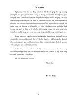 Giao dịch thương mại quốc tế giữa công ty TNHH linh đan và công ty ACC, korea