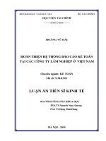 Hoàn thiện hệ thống báo cáo kế toán tại các công ty lâm nghiệp ở việt nam 