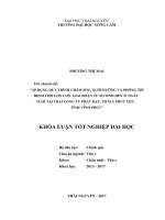 Áp dụng quy trình chăm sóc, nuôi dưỡng và phòng trị bệnh cho lợn con, giai đoạn từ sơ sinh đến 21 ngày tuổi tại trại công ty phát đạt, thị xã phúc yên   tỉnh vĩnh phúc 