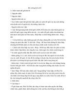 Đề cương lịch sử 8 trg THCS LQD