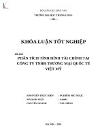 Phân tích tình hình tài chính tại công ty TNHH thương mại quốc tế việt mỹ 