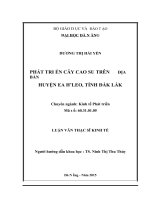 Phát triển cây cao su trên địa bàn huyện EA HLEO, tỉnh đăk lắk 
