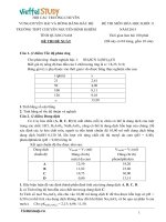 ĐỀ THI HSG HÓA THPT