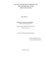 Ngôn ngữ thơ nguyễn bính (dựa trên cứ liệu trước 1945) 