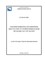 Giải pháp marketing cho sản phẩm bánh kẹo của công ty cổ phần MODELEZ kinh đô tại khu vực tây nguyên 