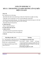 Giáo án Sinh học 12 bài 13: Ảnh hưởng của môi trường lên sự biểu hiện của gen