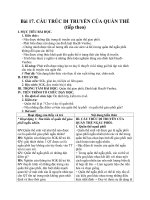 Giáo án Sinh học 12 bài 17: Cấu trúc di truyền của quần thể (tiếp theo)