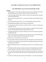 Câu hỏi nhận định đúng sai (có đáp án) Luật Tài chính công kèm bài tập