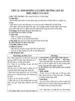 Giáo án Sinh học 12 bài 13: Ảnh hưởng của môi trường lên sự biểu hiện của gen