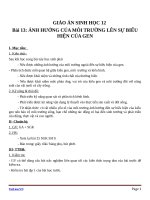 Giáo án Sinh học 12 bài 13: Ảnh hưởng của môi trường lên sự biểu hiện của gen