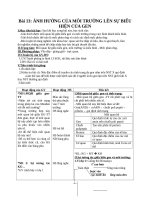 Giáo án Sinh học 12 bài 13: Ảnh hưởng của môi trường lên sự biểu hiện của gen