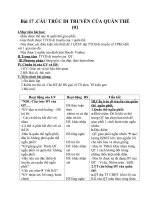 Giáo án Sinh học 12 bài 17: Cấu trúc di truyền của quần thể (tiếp theo)