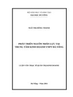 Phát triển nguồn nhân lực tại trung tâm kinh doanh VNPT đà nẵng 