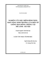 Nghiên cứu đặc điểm hình thái, khả năng sinh trưởng của một số giống hoa hồng trồng tại mê linh   hà nội 