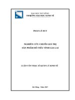 Nghiên cứu chuỗi giá trị sản phẩm hồ tiêu tỉnh gia lai 