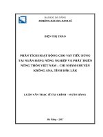 Phân tích hoạt động cho vay tiêu dùng tại ngân hàng nông nghiệp và phát triển nông thôn việt nam – chi nhánh huyện krông ana, tỉnh đắk lắk 