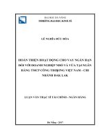 Hoàn thiện hoạt động cho vay ngắn hạn đối với doanh nghiệp nhỏ và vừa tại ngân hàng TMCP công thương việt nam   chi nhánh đăk lăk 