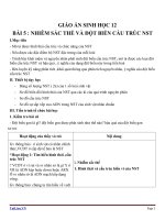 Giáo án Sinh học 12 bài 5: Nhiễm sắc thể và đột biến cấu trúc nhiễm sắc thể