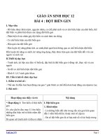 Giáo án Sinh học 12 bài 4: Đột biến gen