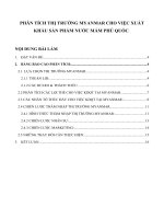 Phân tích thị trường myanmar cho việc xuất khẩu sản phẩm nước mắm phú quốc 