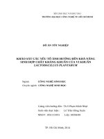 Khảo sát các yếu tố ảnh hưởng đến khả năng sinh hợp chất kháng khuẩn của vi khuẩn lactobacillus plantarum 