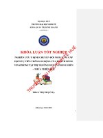 Nghiên cứu ý định chuyển đổi nhà cung cấp dịch vụ viễn thông di động của người tiêu dùng tại thị trường huyện phong điền   thừa thiên huế 