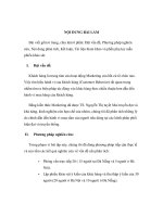 Phân tích những yếu tố   lý do ảnh hưởng đến hành vi mua hàng 2 