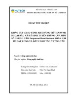 Khảo sát và so sánh khả năng tiết enzyme ngoại bào và ký sinh tuyến trùng của một số chủng nấm purpureocillium lilacium phân lập từ đất rừng và đất canh tác ở vũng tàu 