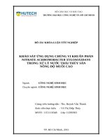 Khảo sát ứng dụng chủng vi khuẩn phản nitrate achromobacter xylosoxidans trong xử lý nước thải thủy sản nồng độ muối cao 