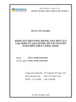 Khảo sát khả năng kháng oxy hóa của gạo mầm từ gạo nương đỏ tây nguyên ở hai điều kiện ủ khác nhau 