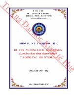 Thực trạng công tác kế toán công nợ và phân tích tình hình công nợ tại công ty cổ phần thái lan 