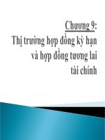 Chương 9: Thị trường hợp đồng kỳ hạn và hợp đồng tương lai tài chính định chế tài chính