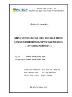 Khảo sát nâng cao hiệu quả quá trình lên men bioethanol từ vỏ cacao bằg phương pháp SSF 