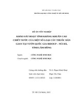 Khảo sát hoạt tính kháng khuẩn cao chiết nước của một số loại cây thuốc dân gian tại vƣờn quốc gia bidoup – núi bà, tỉnh lâm đồng 