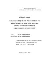 Khả sát sơ bộ thành phần hóa học va đáh gia một sô hoạ tính sinh học trong tơ nấ linh chi đen amauroderma subresinosum 