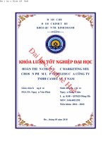 Hoàn thiện chiến lược marketing mix cho sản phẩm lốp tubeless của công ty trách nhiệm hữu hạn cao su camel việt nam 