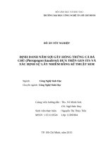 Định danh nấm sợi gây hỏng trứng cá bá chủ (pterapogon kauderni) dựa trên gen its và xác định sự lây nhiễm bằng kĩ thuật sem 