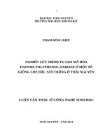 Nghiên cứu trình tự gen mã hóa enzyme polyphenol odidase ở một số giống chè đặc sản trồng ở thái nguyên 