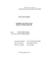 Nghiên cứu phá vách bào tử nấm linh chi 